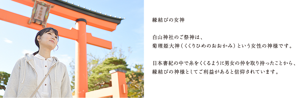 縁結びの女神。白山神社のご祭神は、菊理姫大神（くくりひめのおおかみ）という女性の神様です。日本書紀の中で糸をくくるように男女の仲を取り持ったことから、縁結びの神様としてご利益があると信仰されています。